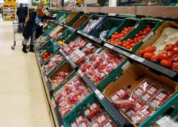 OECD, Türkiye Büyüme ve Enflasyon Beklentilerini Yükseltti