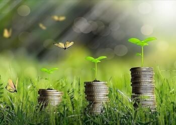 Şimşek, “Türkiye Yeşil Fonu”nu Kurma Kararı Aldıklarını Duyurdu