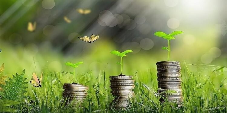 Şimşek, “Türkiye Yeşil Fonu”nu Kurma Kararı Aldıklarını Duyurdu