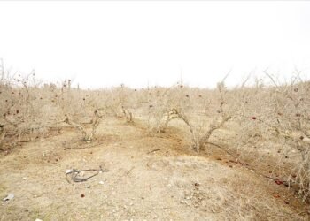 BM, Paris İklim Anlaşması Doğrultusunda “Küresel Yol Haritası” Sürecini Başlattı