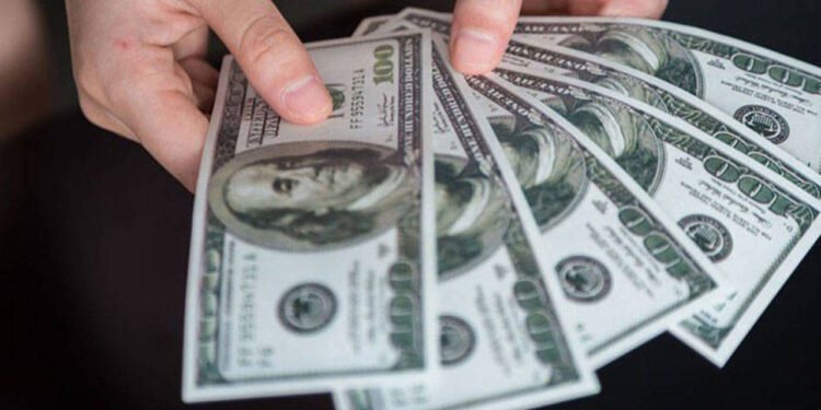 Faiz Kararı Öncesi Dolar/TL Rekoru