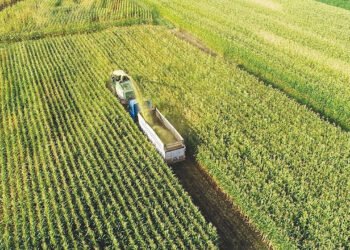 Sayıştay, TİGEM’in Faaliyetlerini Eleştirdi