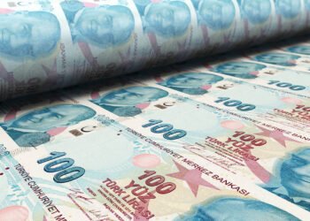 Türk Lirası Depo Alım İhaleleri Düzenlenecek