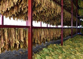 Türkiye’deki Yabancı Kontrollü Girişimlerin 2021 Performansında Almanya ve ABD Önde