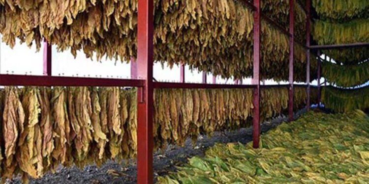 Türkiye’deki Yabancı Kontrollü Girişimlerin 2021 Performansında Almanya ve ABD Önde