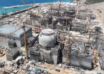 Akkuyu Nükleer Santrali’nde Menenjit Salgını Sonucu Bir İşçinin Hayatını Kaybettiği Doğrulandı