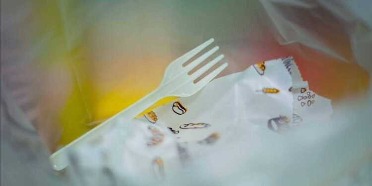 Nijerya’da Çevre Dostu Karar: “Tek Kullanımlık Plastikler Yasaklandı”