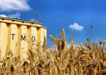 TMO’nun Mali Borçlarında Artış