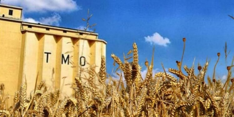 TMO’nun Mali Borçlarında Artış