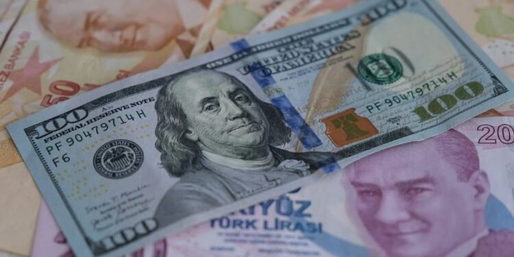 Dolar Kuru 31 TL Üzerindeki Yolculuğuna Devam Ediyor