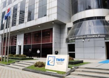 Tasarruf Mevduatı Sigorta Fonu Bir Varlığı Daha Satışa Çıkardı
