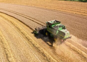 Türkiye’de Tarım Ürünleri Üretici Fiyat Endeksi’nde Büyük Artış