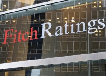 Fitch, Türkiye’nin Borçlanma Aracı İhraçlarına İlişkin Yeni Rapor Yayınladı