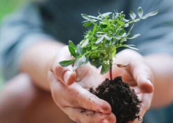 Sürdürülebilirlik Etki Programı