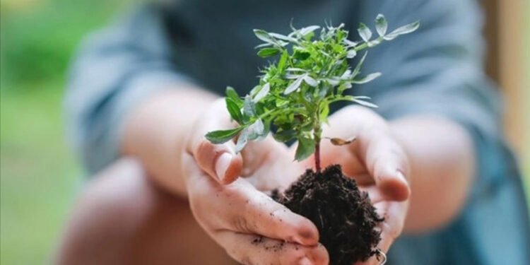 Sürdürülebilirlik Etki Programı