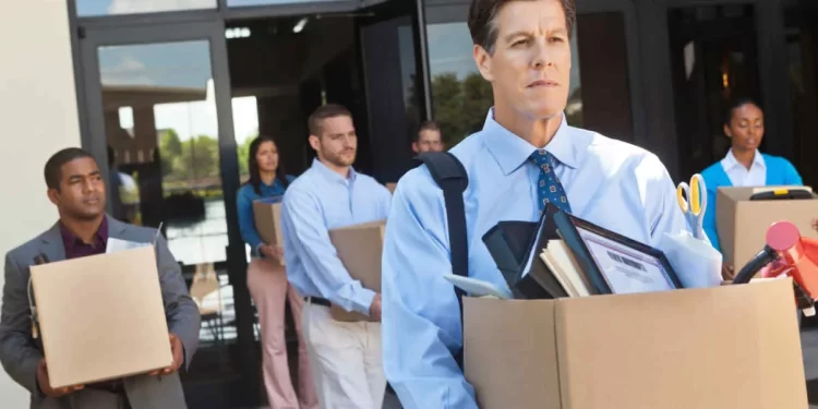 Teknoloji Şirketlerinde İşten Çıkarmalar ve Yatırımcılar: SeekOut Örneği