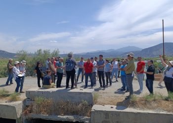 Yılan Balığı Çalıştayı: Doğa Koruma ve Bilimsel İşbirliği