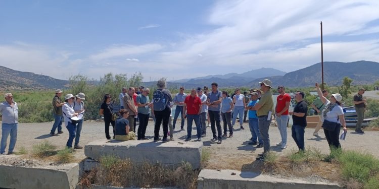 Yılan Balığı Çalıştayı: Doğa Koruma ve Bilimsel İşbirliği