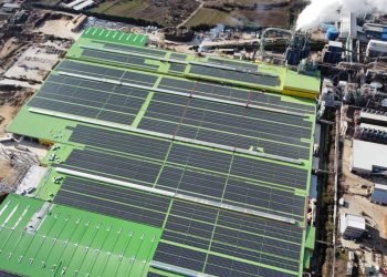 Biyokütle ve Güneş Enerji Santralleri ile Sürdürülebilirlik Hedefleri