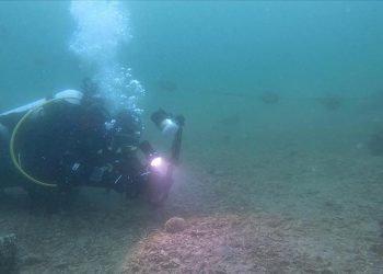 Borusan Grubu Deniz Temizliği Etkinliği