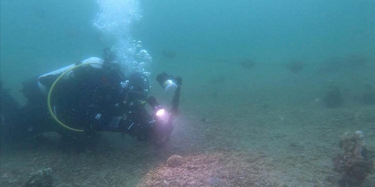 Borusan Grubu Deniz Temizliği Etkinliği