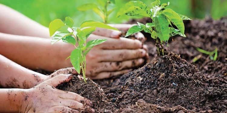 Dünya Çevre Günü ve Çevresel Tehditler