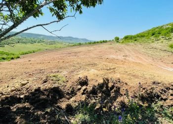 Elite Naturel: Avrupa Pazarında İtalya ve İspanya ile Rekabet Halinde