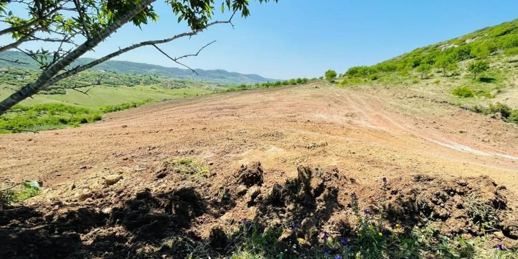 Elite Naturel: Avrupa Pazarında İtalya ve İspanya ile Rekabet Halinde