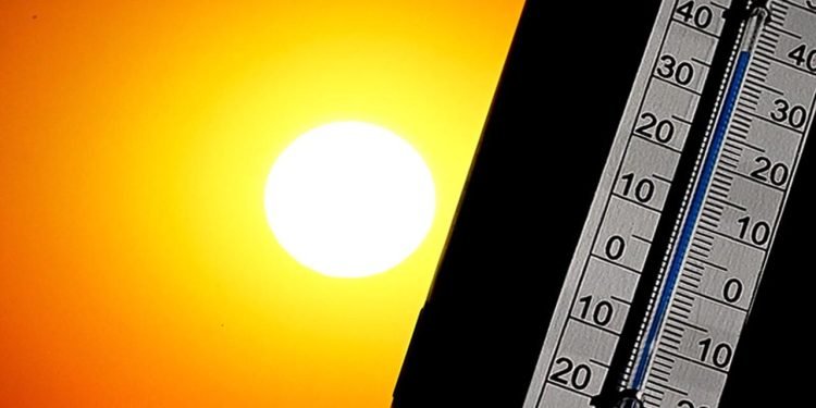 Yenilenebilir Enerji Yatırımlarında Artış ve Geçiş Planlarının Eleştirisi