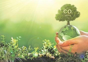 Batı Anadolu Grubu’nun Sürdürülebilirlik Raporu: Karbon Emisyonlarının Azaltılması ve Stratejik Hedefler