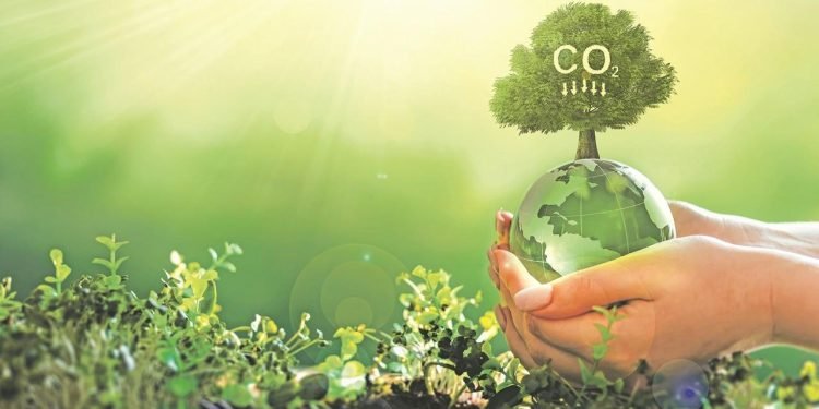 Batı Anadolu Grubu’nun Sürdürülebilirlik Raporu: Karbon Emisyonlarının Azaltılması ve Stratejik Hedefler