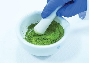 Bitkisel Protein Kaynakları ve Tarımsal İnovasyon