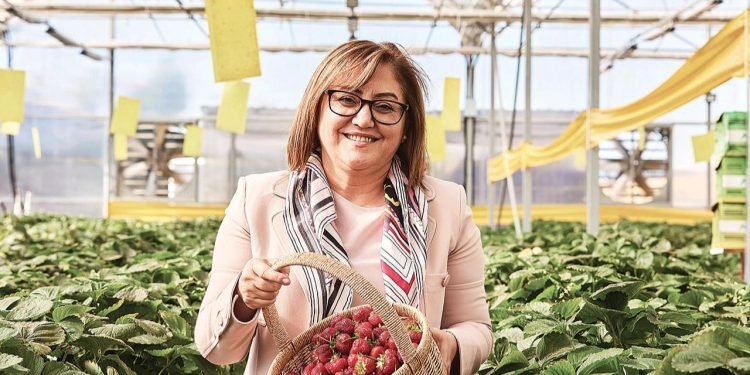 Çöp Gazından Enerji Üretilen Çilek Sera Projesi