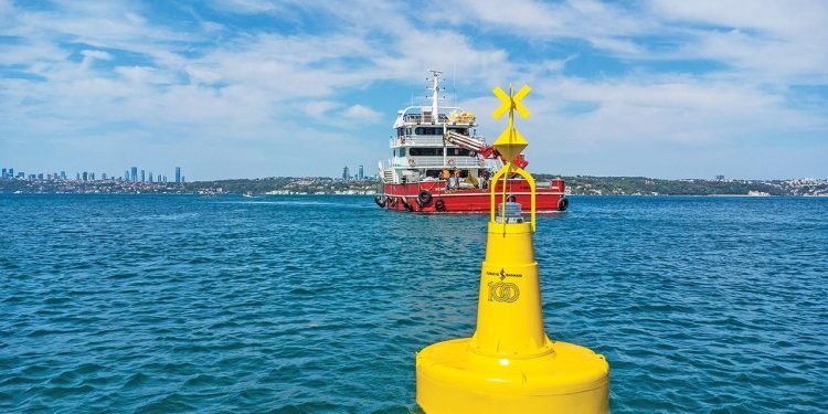 Deniz Çayırları ve Marmara Denizi’nin Geleceği