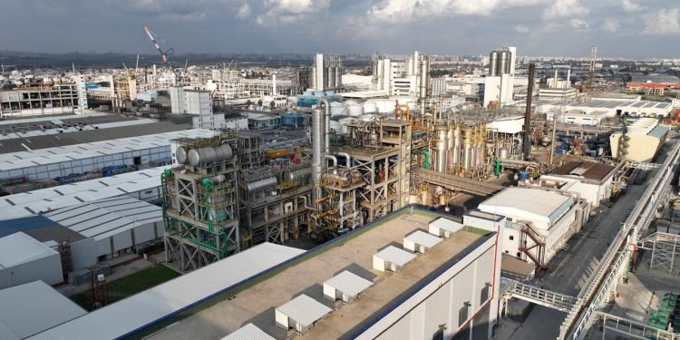 Erdemoğlu Holding ve SASA İstihdam Politikası