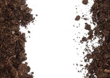 Hidrojel İle Su Tasarrufu: Sürdürülebilir Tarım İçin Yenilikçi Çözüm