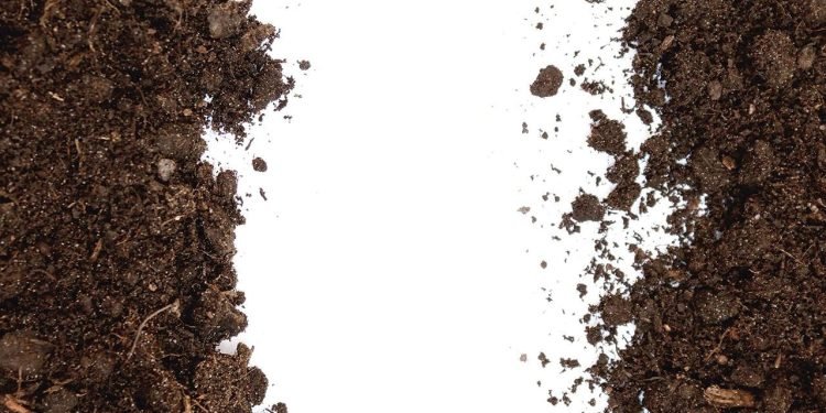 Hidrojel İle Su Tasarrufu: Sürdürülebilir Tarım İçin Yenilikçi Çözüm