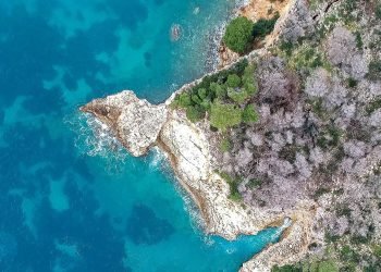 Su Ekosistemlerinde Oksijen Seviyelerindeki Azalma ve Etkileri