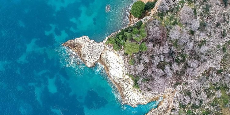 Su Ekosistemlerinde Oksijen Seviyelerindeki Azalma ve Etkileri