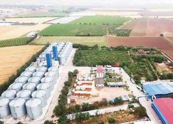 GrainTürk: Tarım ve Enerji Sektöründe Büyüyen Güç