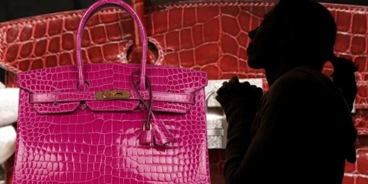 Hermes Birkin Çanta ile Viral Olan Video ve Harika Güral’ın Hikayesi