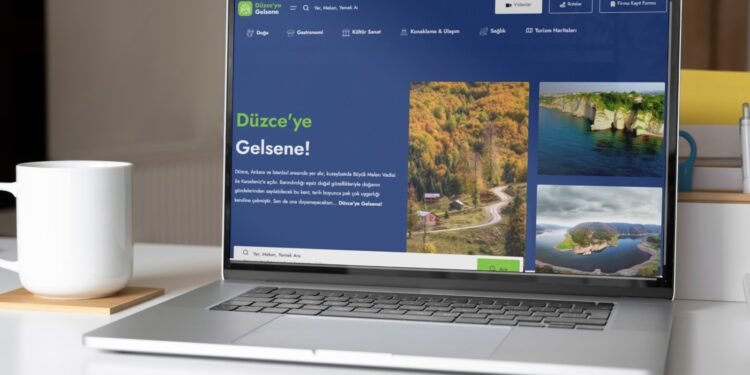 Bir Ar-Ge Örneği: “Düzce’ye Gelsene”