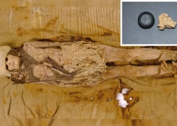 Antik Peynirin Keşfi: Tarım Havzası’nda 3.600 Yıllık Sır