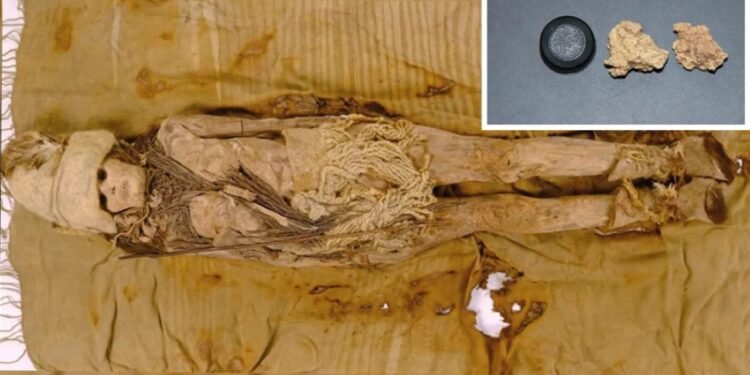 Antik Peynirin Keşfi: Tarım Havzası’nda 3.600 Yıllık Sır