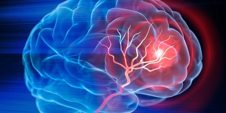 Beyindeki Hafıza Mekanizması: KIBRA Molekülü ve PKM Enzimi