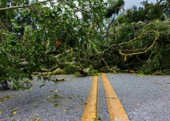 Helen Kasırgası Sonrası Elon Musk’ın Starlink Yardımı