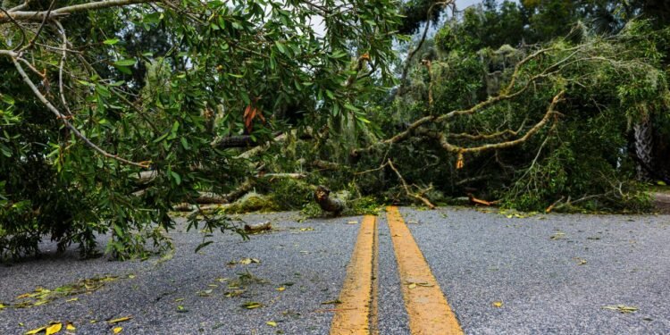 Helen Kasırgası Sonrası Elon Musk’ın Starlink Yardımı