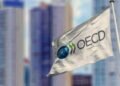 OECD’nin Sürdürülebilir Yatırım Araçları Üzerine Değerlendirmesi