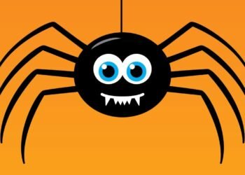 Örümcek Zehiri ile Kalp Krizine Umut: Yeni Bir Tedavi Yöntemi