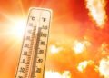2024: Tarihin En Sıcak Yılı Olmaya Aday